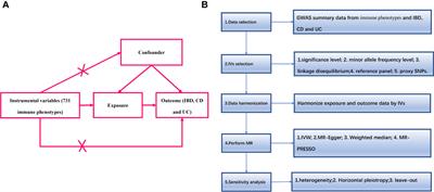 The immune factors have complex causal regulation effects on inflammatory bowel disease